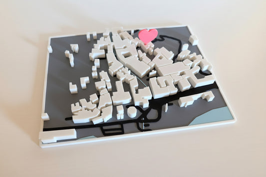3d map