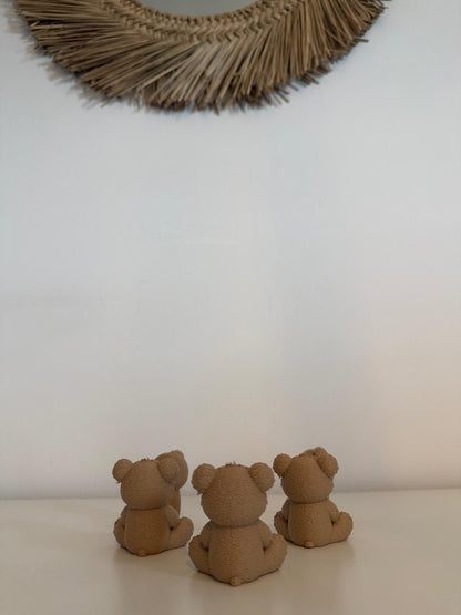 🧸Ursuleți Marturii 🧸