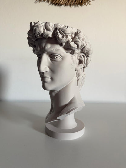 Ghiveci "David"