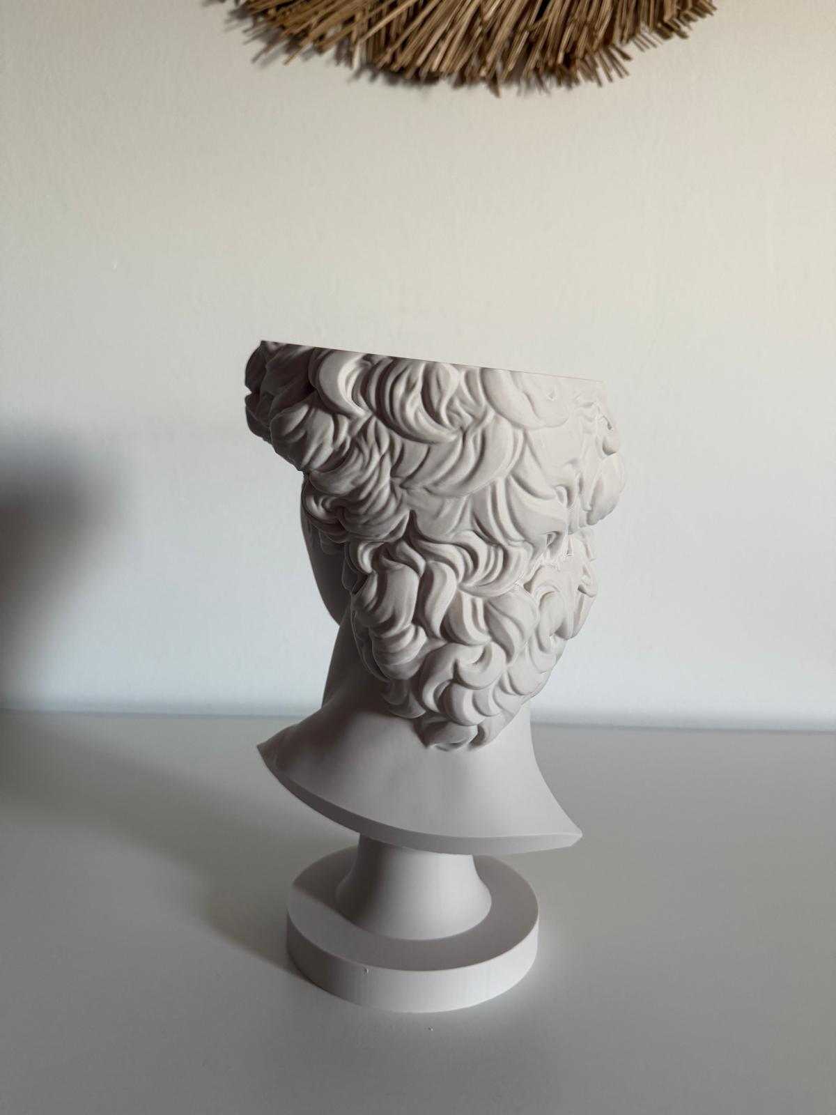Ghiveci "David"