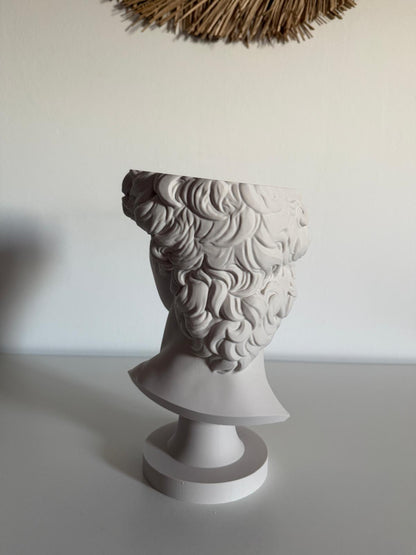 Ghiveci "David"