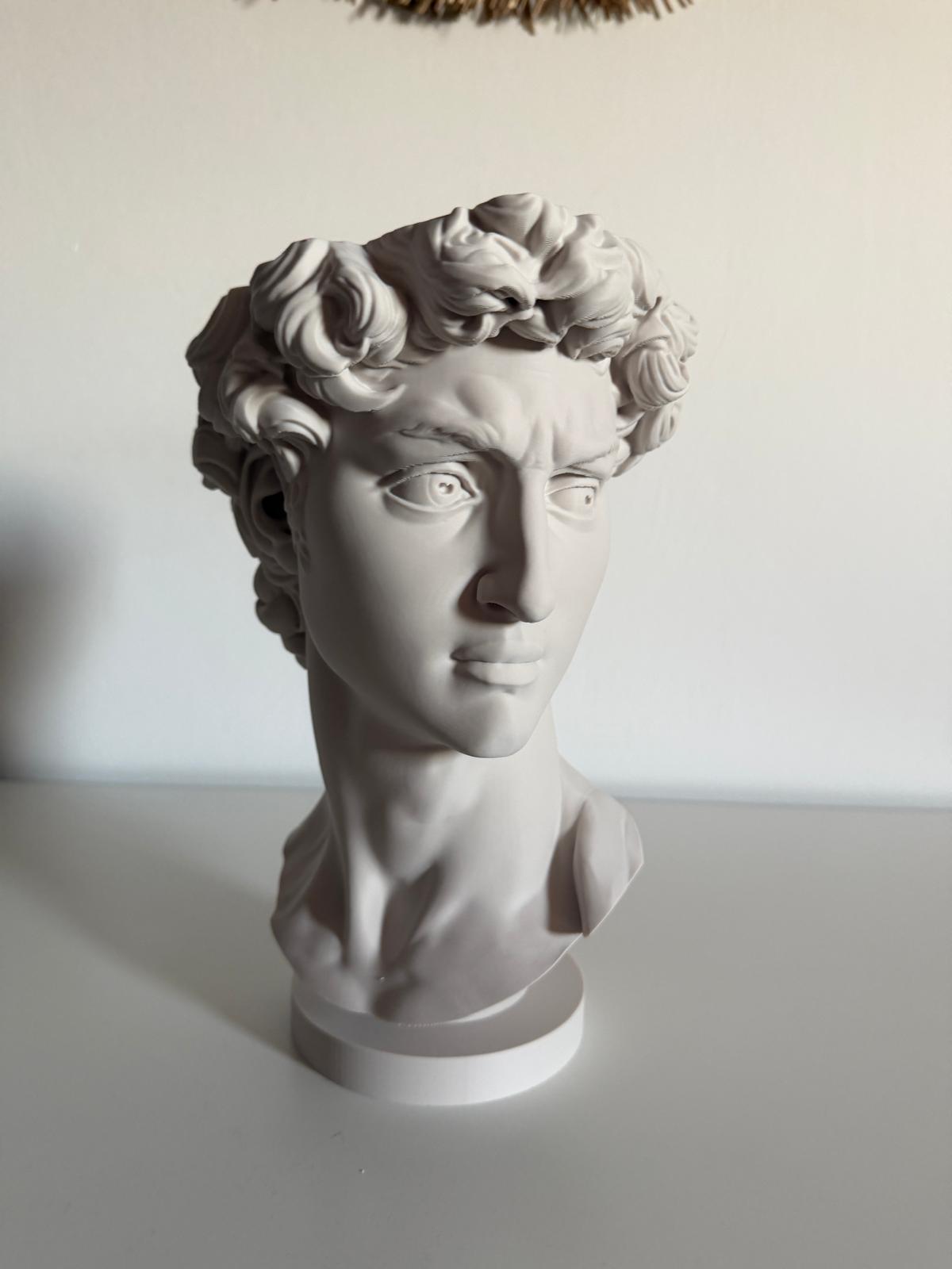 Ghiveci "David"