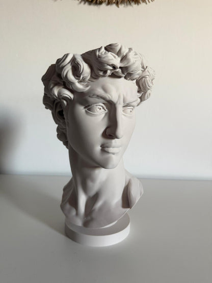 Ghiveci "David"