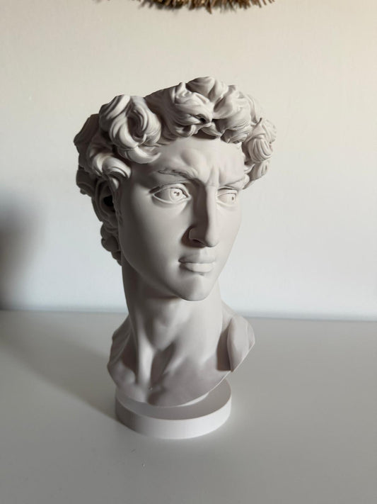 Ghiveci "David"