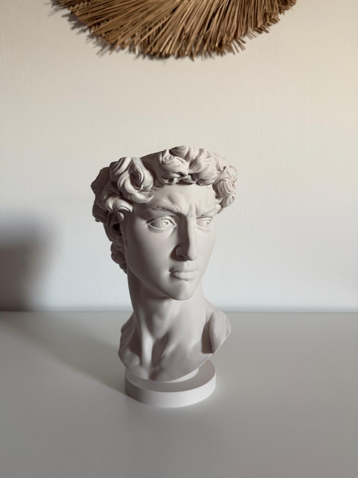 Ghiveci "David"
