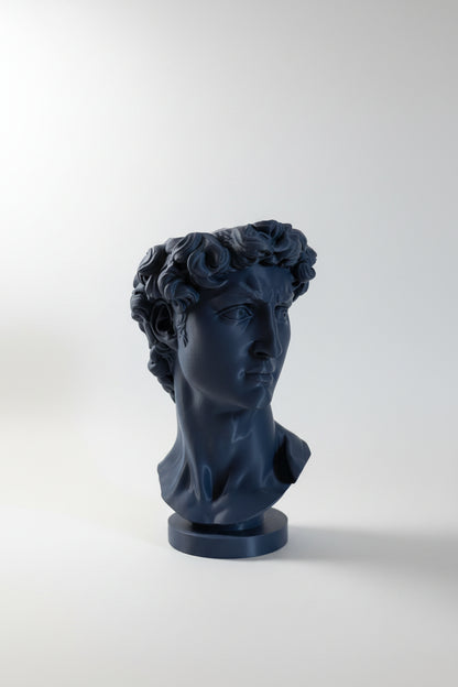 Ghiveci "David"