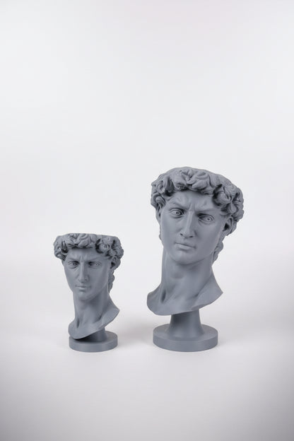 Ghiveci "David"